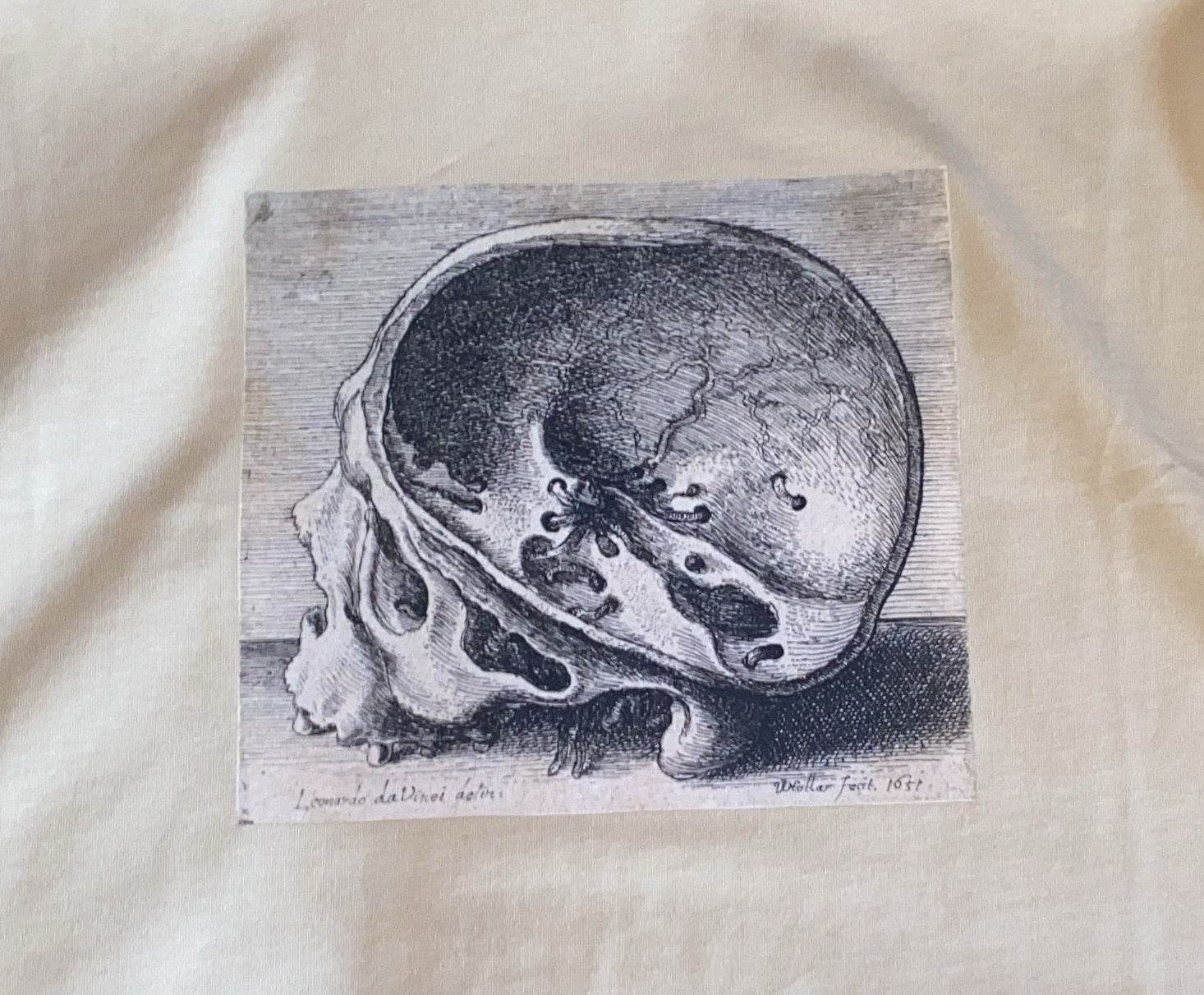 Women's Crop Top with Anatomical Print